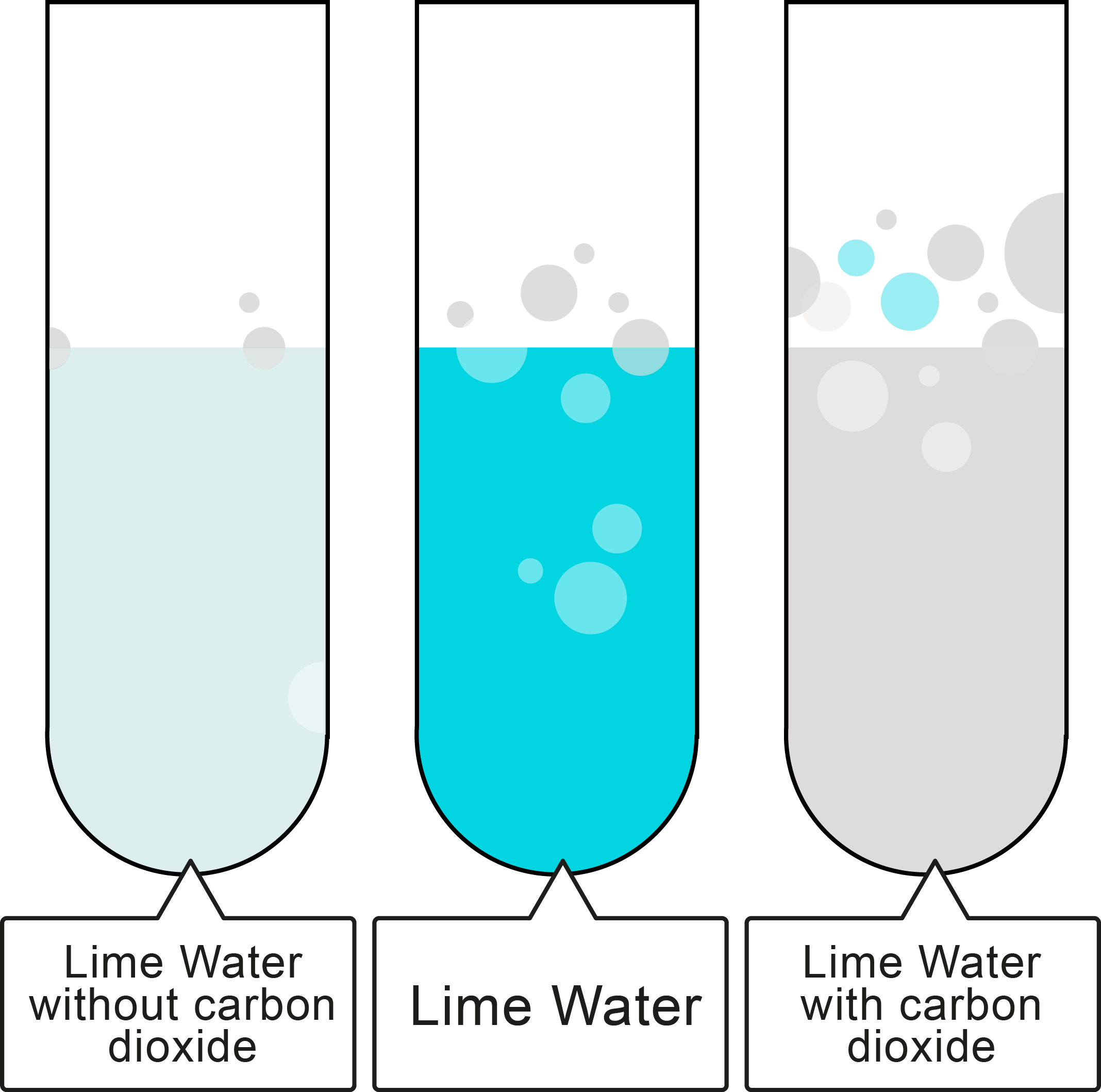 What happens when an acid reacts with a carbonate