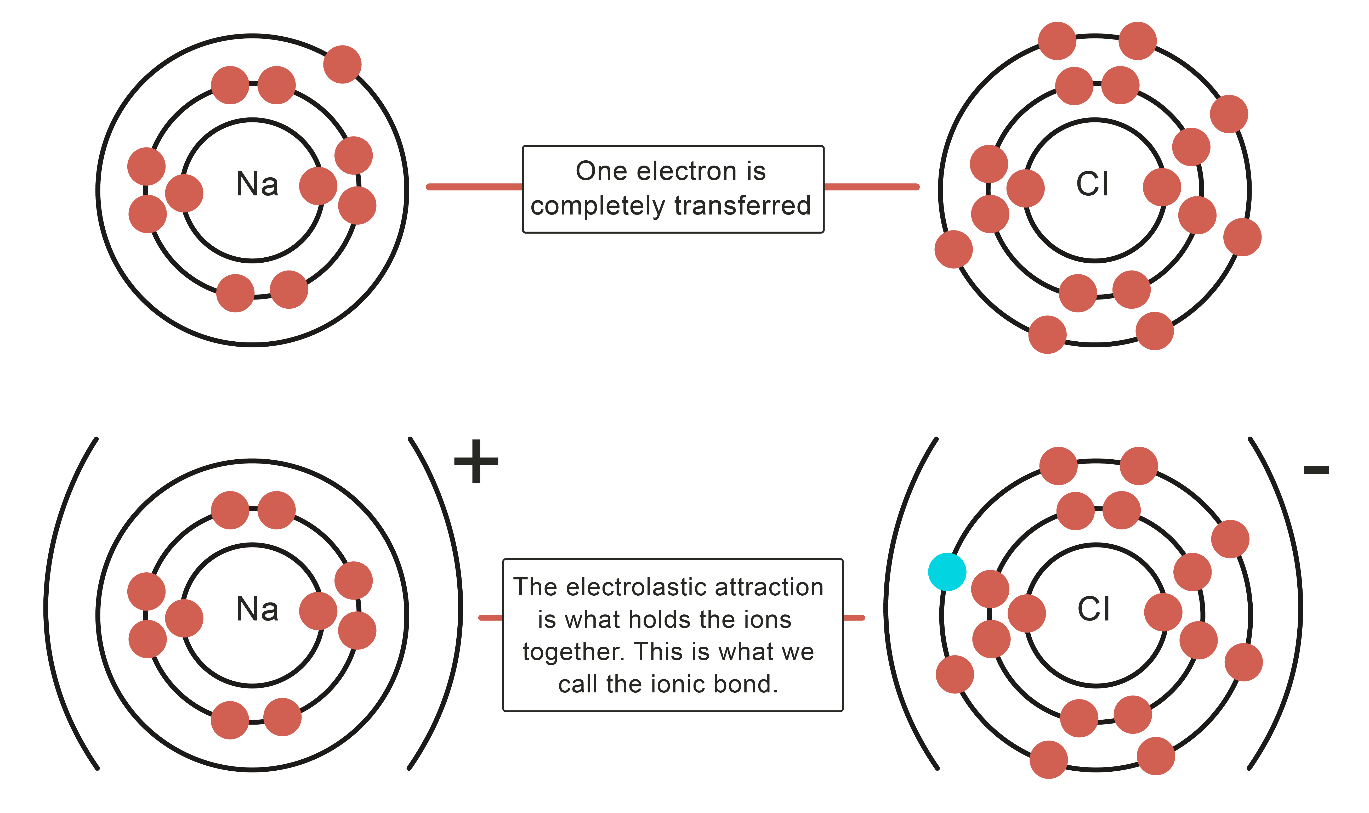 ion bonding barrel and action