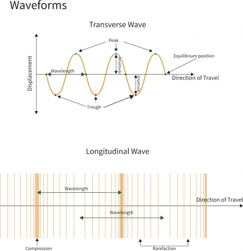 Understand Transverse and Longitudinal Waves Worksheet - EdPlace