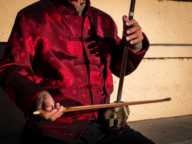 Erhu