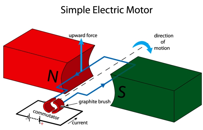 electric motor