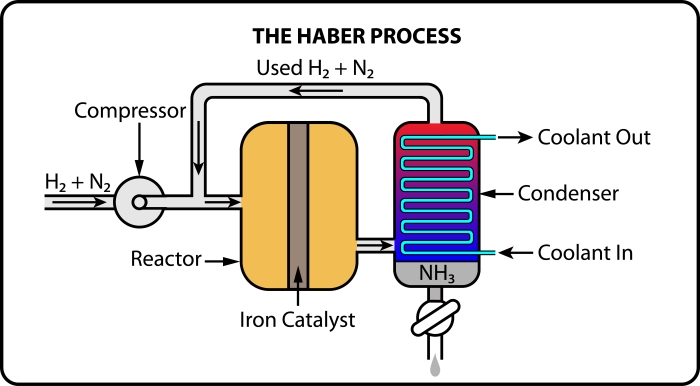 the Haber process