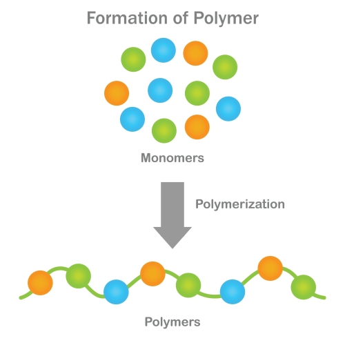 formation of a polymer